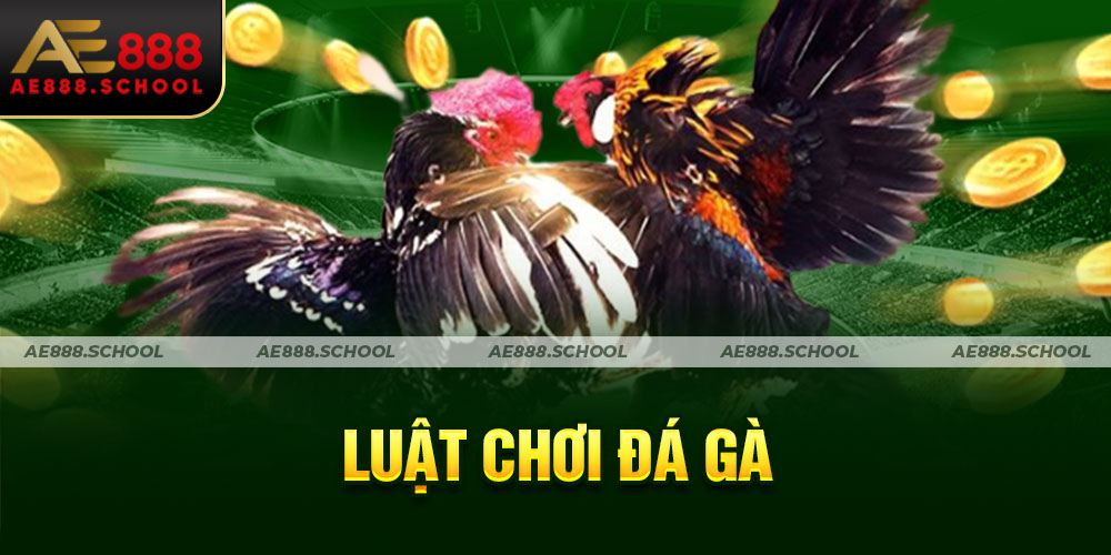 LUẬT CHƠI ĐÁ GÀ AE888 SCHOOL