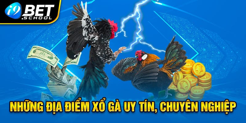 Môt số địa chỉ đáng tin cậy về xổ gà đá chuyên nghiệp 