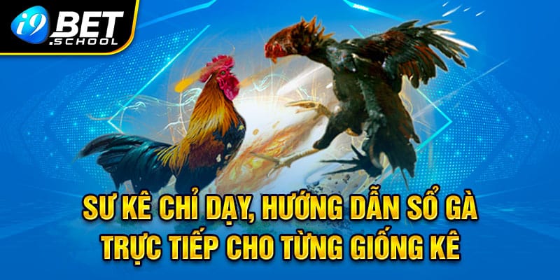 Các bước xổ gà