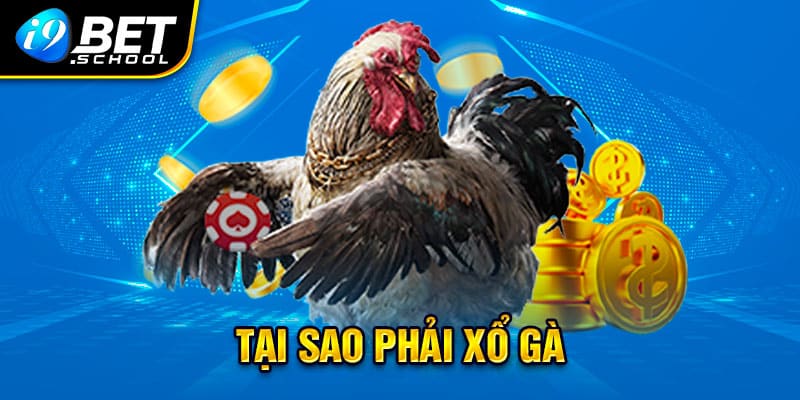 Tại sao phải xổ gà