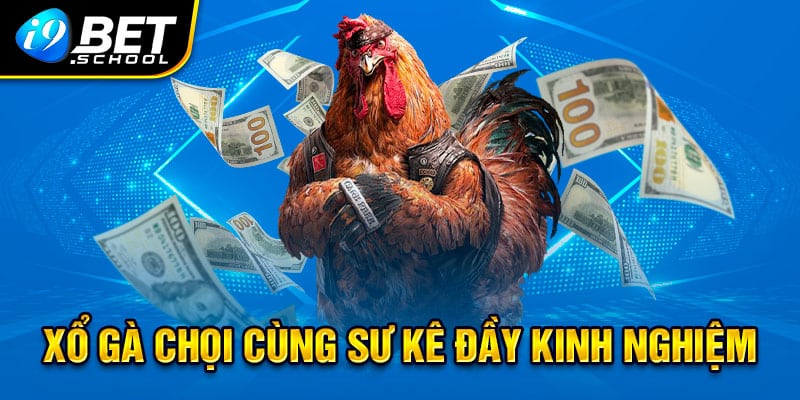 Sư kê chia sẻ cách lột xác gà nòi